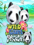 รีวิวโก ล คล บ sbobet ความสนุกไม่มีที่สิ้นสุด